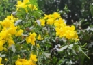 £ʮˣ