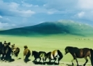 峡ס÷쳾·໶
