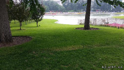 20150529_145616.jpg