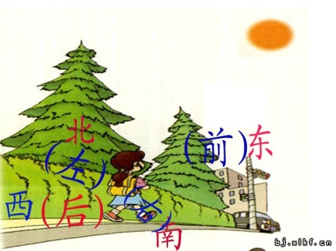 5af363dbg5cd0d3729dc8.jpg