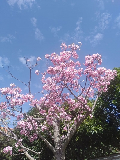 Image_1734580465156.jpg