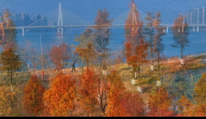 Screenshot_20250109_103215.jpg