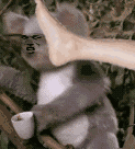 QQͼƬ20250216001815.gif
