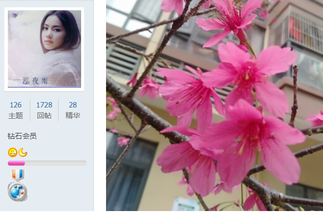 ޱ.png