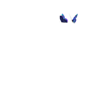   纸ͬ  @@՛i@͡
